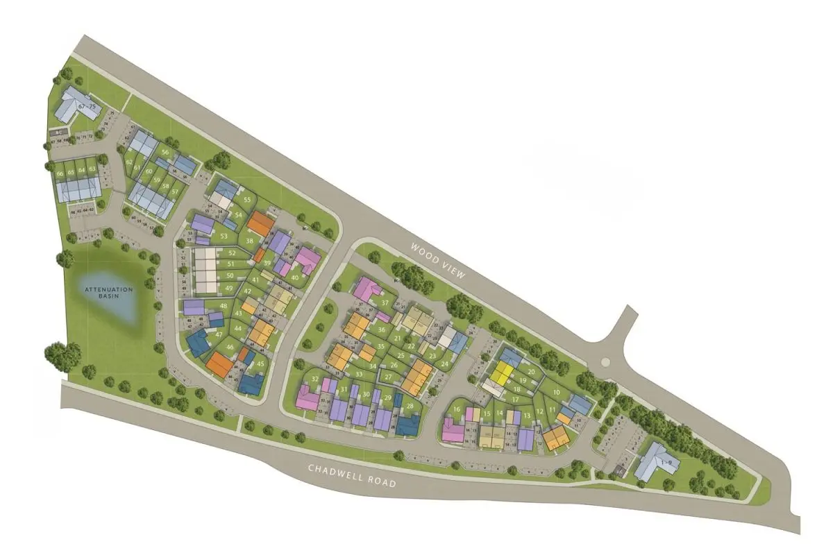 Layout 1