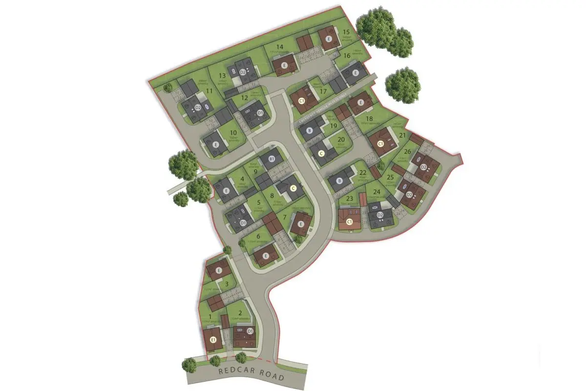 Layout 1