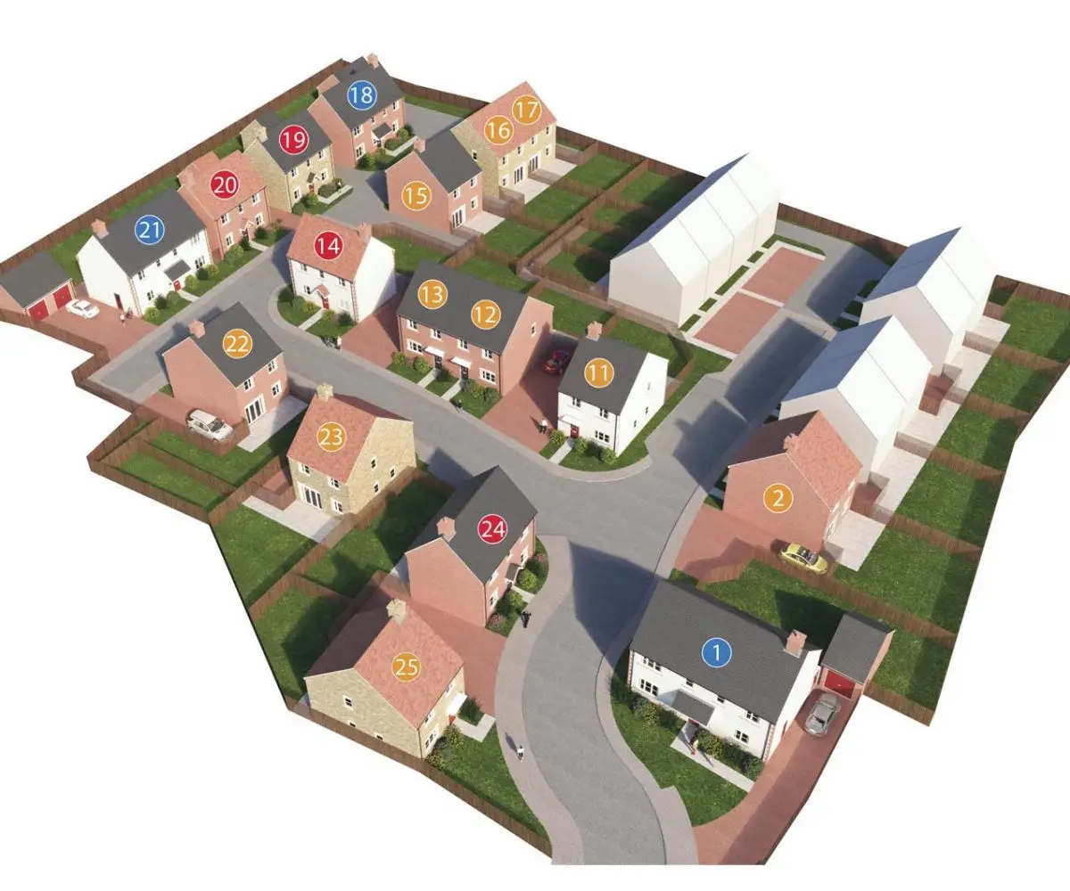Layout 1